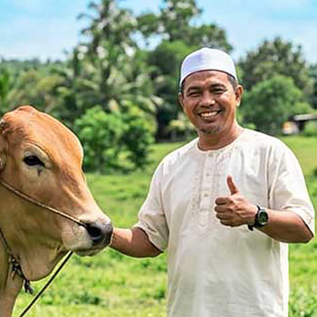 AbirTravel - Program Qurban Lembu Testimoni